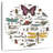 Brampt Insect Circle II Bright-109358168