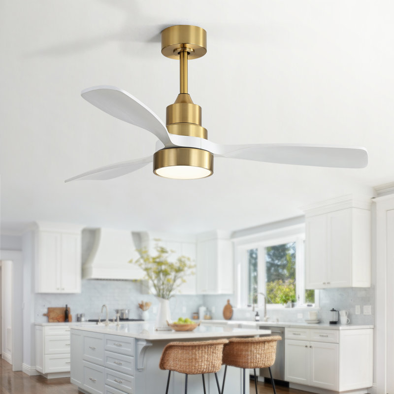 48" Nicola 3 - Blade Modern Ceiling Fan with Remote Control and Light Kit, Gold with White Blades