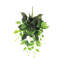 Plante artificielle suspendue lierre Philodendron-1512453728