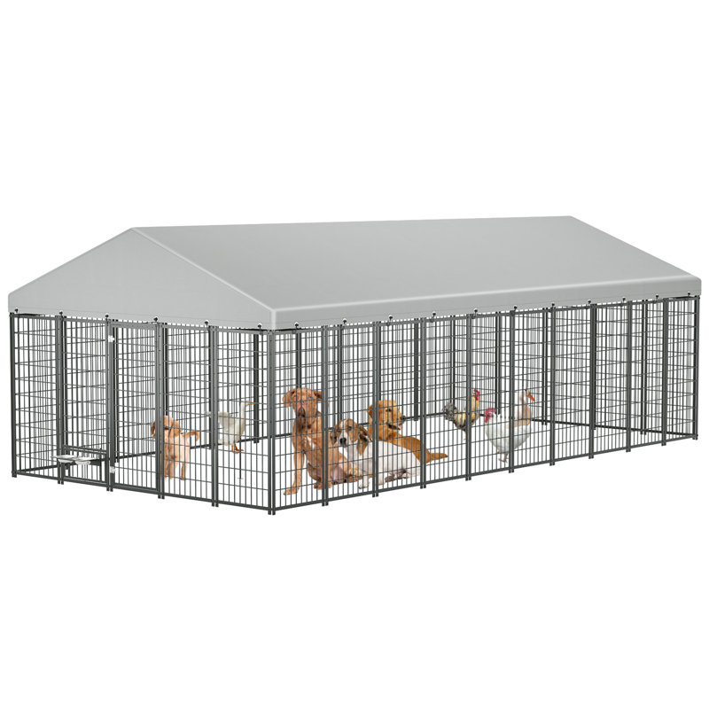 Grand enclos extérieur pour chien avec enclos de toit
