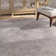 Brinkerhoff Oriental Indoor Rug