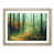 Oak Framed