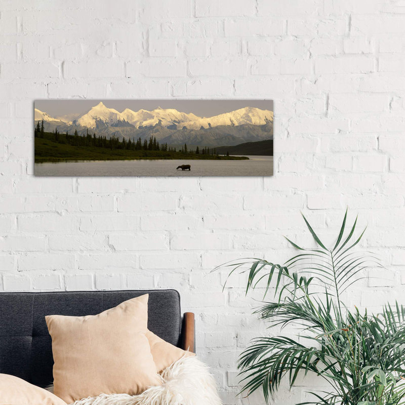 Moose Standing On A Frozen Lake Wonder Lake, Denali National Park, Alaska, USA - Wrapped Canvas Panoramic Print