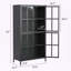 Premium Black Metal Storage Cabinet with Tempered Glass Doors