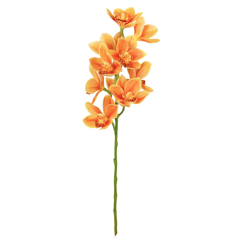 Tige d'orchidée Cymbidium, Orange