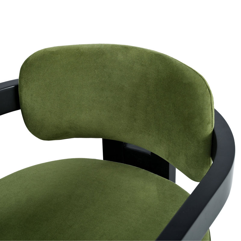 Chaise de salle à manger d'intérieur en bois (ensemble de 2), vert + noir