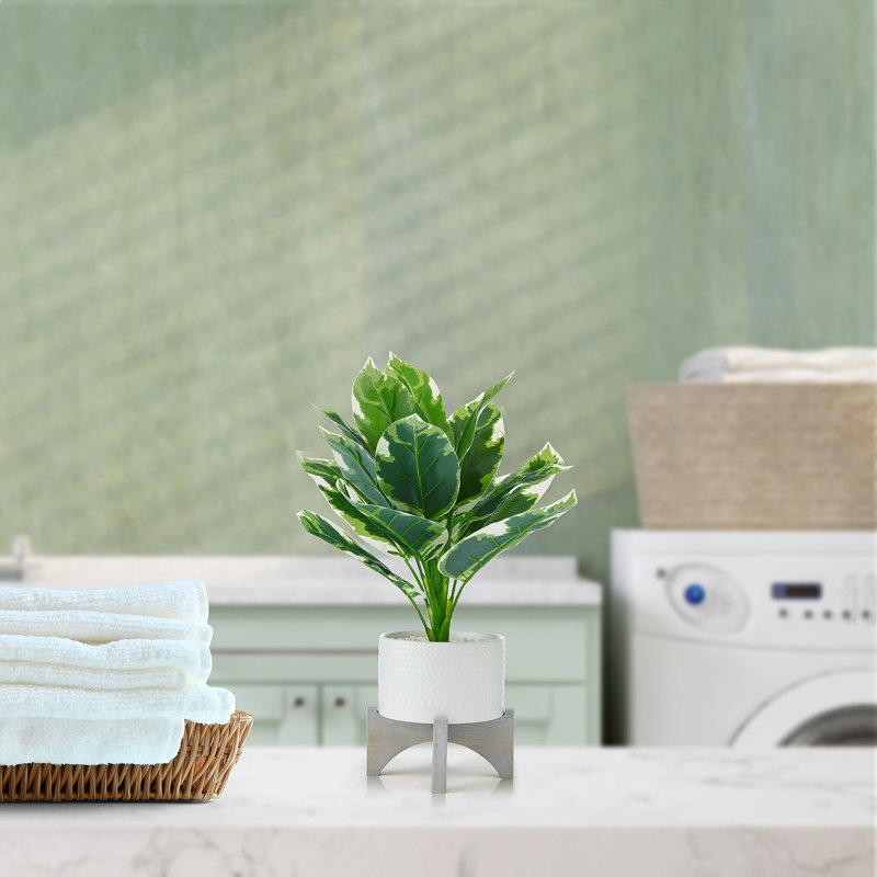 Scott Living Leaf Plant With Stand