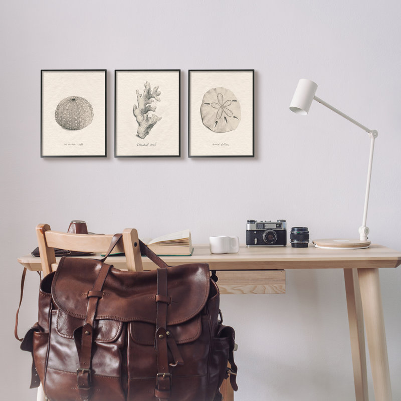 Aquatic Plant Life, Étude Latine, Corail, Oursin par Grace Popp - ensemble de 3 impressions sur toile flottante