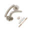 Taurus Lever Door Handle-729569796