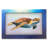 Coastal Wall Decor-439800817