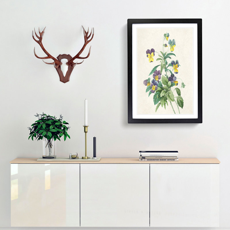 Wild Pansy Flowers by Pierre-Joseph Redoute - Framed Print, 65cm H x 48cm W x 2cm D, Black Framed
