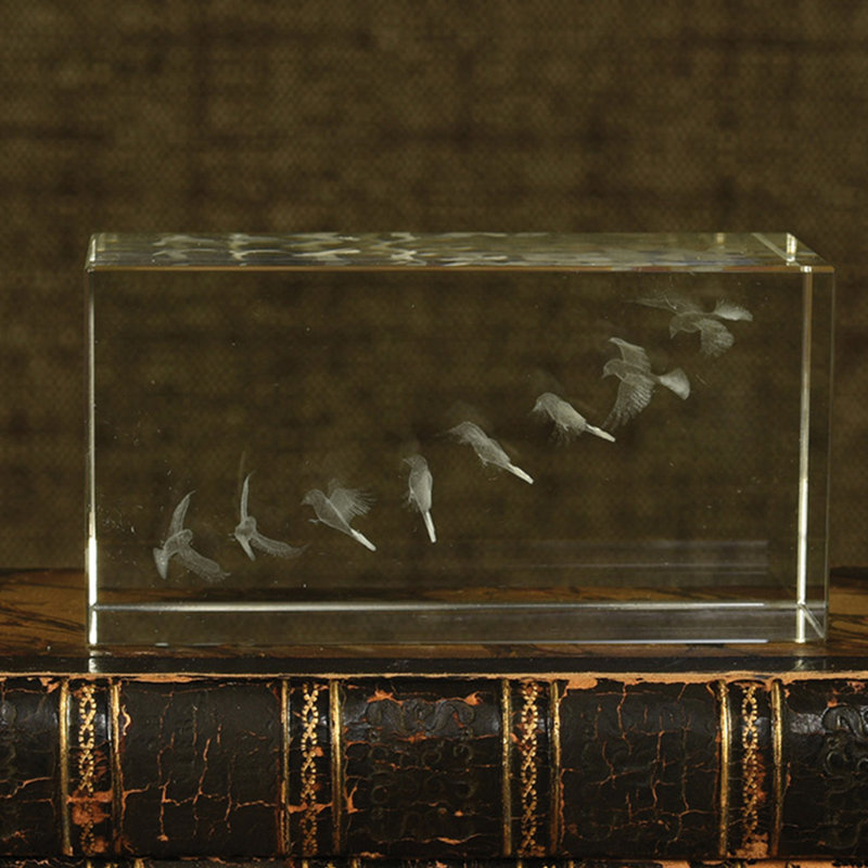 Oiseaux en verre à l’hologramme Carole