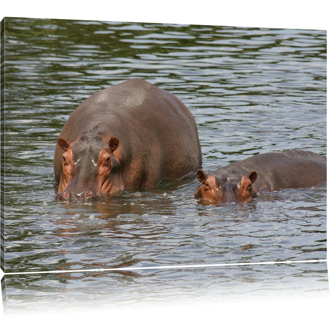 Leinwandbild Zwei Flusspferde im hohen Wasser