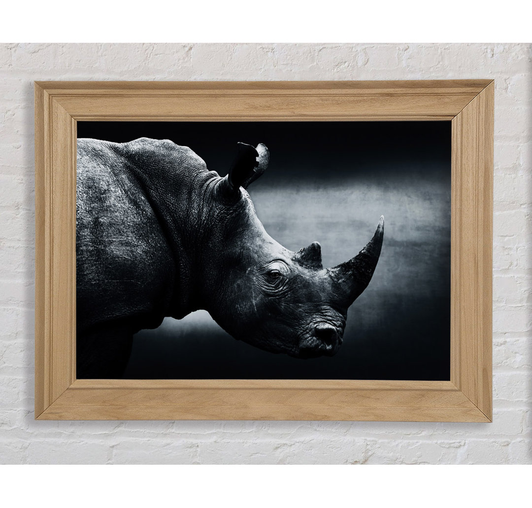 Rhinoceros Beauty - Einzelner Bilderrahmen Kunstdrucke