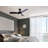 Kerby 42'' Ceiling Fan with LED Lights