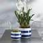 Barclay Handmade Ceramic Planter