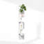 Rodrich 5 Piece Corner Floating Shelf-1972683761