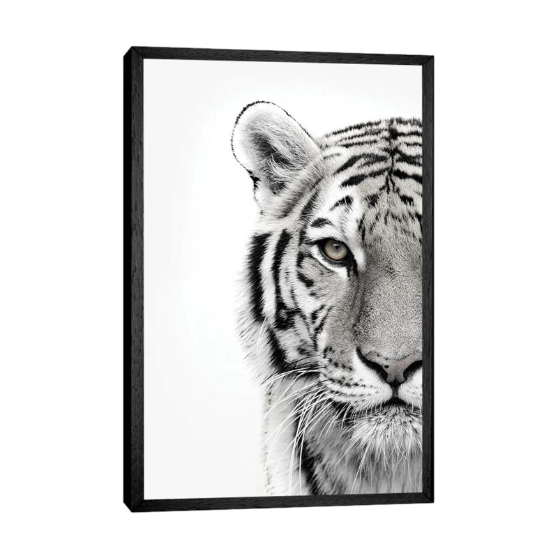 White Tiger - Print on Canvas, 66.04cm H x 45.72cm W x 3.81cm D, Black Framed