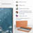 " Curacao Fish And Turtle "-1241928103