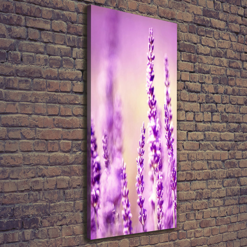 Lavender - Wrapped Canvas Print