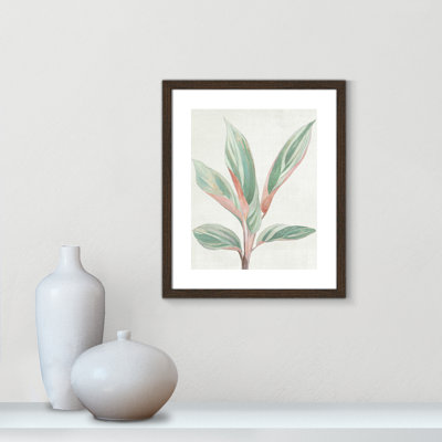 Ginger Plant I - reproduction d'art