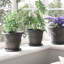 Round Flower Tray 24 Pcs Plastic-942248869-942248922