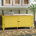 Banana Yellow