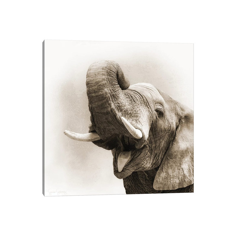 African Elephant Closeup Square Sepia by Susan Schmitz - Wrapped Canvas Gallery-Wrapped Canvas Giclée