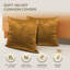 Luxurious Velvet Cushion Covers for Sofa Or Bed (Set Of 2)-564403573