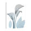 Serene Calla Lilly - Wrapped Canvas Print-697648821