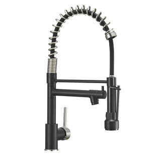 Robinet d'évier de cuisine à poignée simple avec accessoires Contemporary