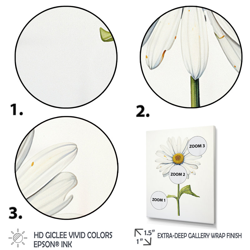 «White Daisies» Sublime Simplicity I - Art mural floral salon, Toile tendue, H 44 po x l 34 po x P 1,5 po