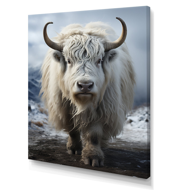 «Kamilya Yaks Portrait in Winter I», reproduction sur toile, H 32 po x l 24 po, Toile tendue