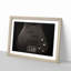 Bottom of a Black Bass Guitar - Picture Frame Painting Print-55513282-55513288