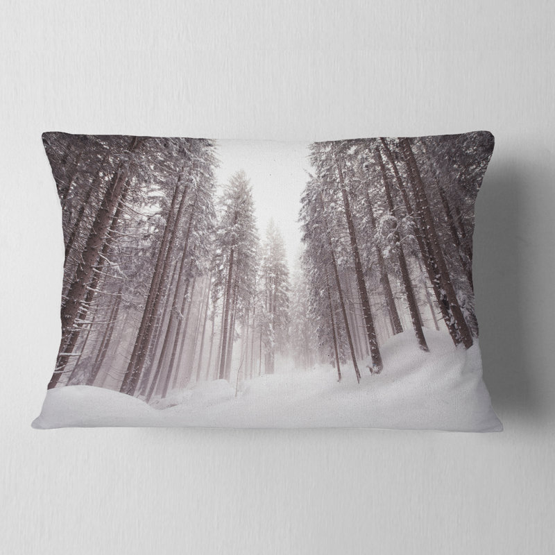 Coussin lombaire à l’hiver trente alto adige
