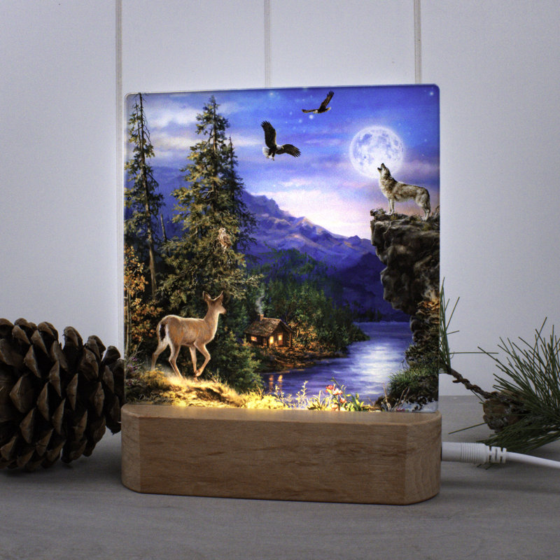 Welcome to the Woods Night Light
