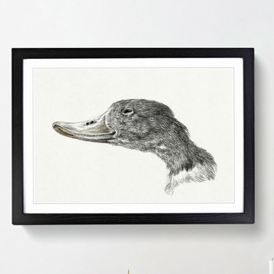 Head of a Duck by Jean Bernard - Framed Print