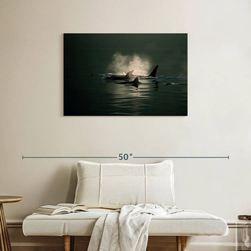 Brampt Orca Whale Pod, 24" H x 36" W