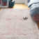 Tapis tissé à la machine