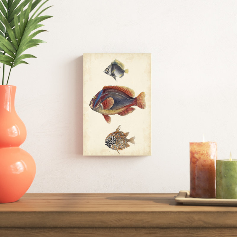 «Antique Fish Species IV», peinture sur toile, H 12 po x l 8 po