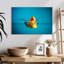 Canard en caoutchouc Ashelle-109381411