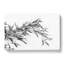 Leaves Of A Bamboo Plant - Wrapped Canvas Print-56629696