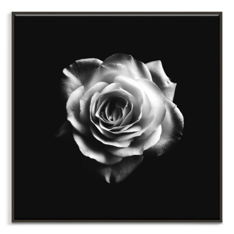 Print on Canvas, Black Floater Frame, 102cm H x 102cm W
