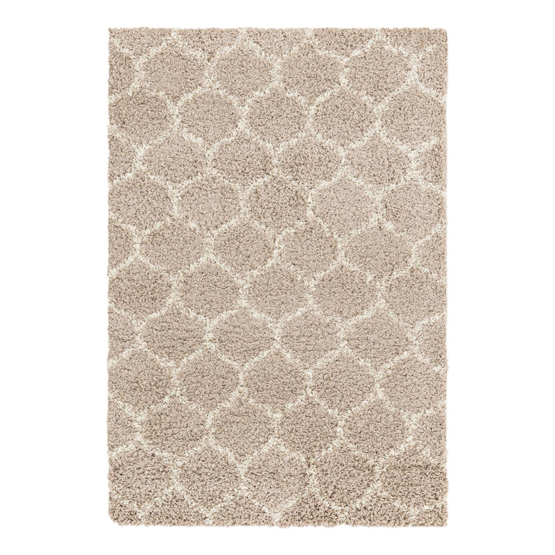 Tapis à poils longs Everly Quinn Ruby, Rectangle 4 pi x 6 pi