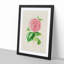 Pink Camellia Flower Illustration - Framed Print-55616258-55616262