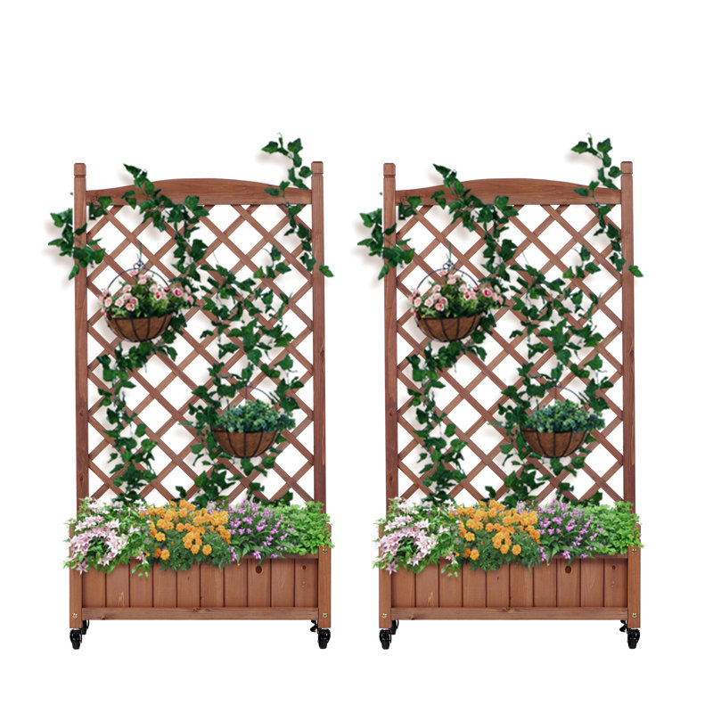 Lit de jardin surélevé avec treillis - paquet de 2 - jardinière en bois pour l'extérieur et support pour plante