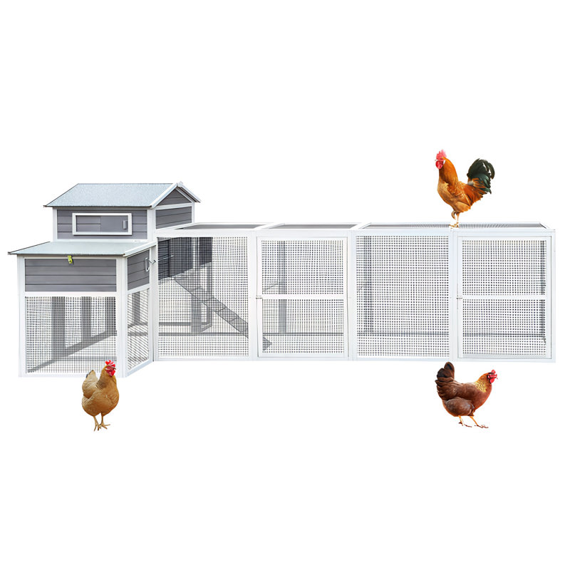 Poulailler très grand 150 po - poulailler d'extérieur en bois avec fil de métal noir antirouille, 2 boîtes de nidification, 5 perchoirs pour la volaille, cage à poulet sécurisée et durable