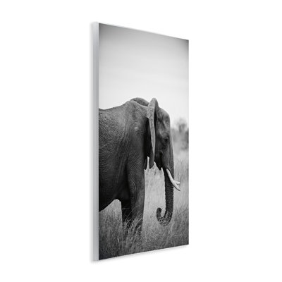 «Side Profile Elephant Wall Art» par Sharon Vardy