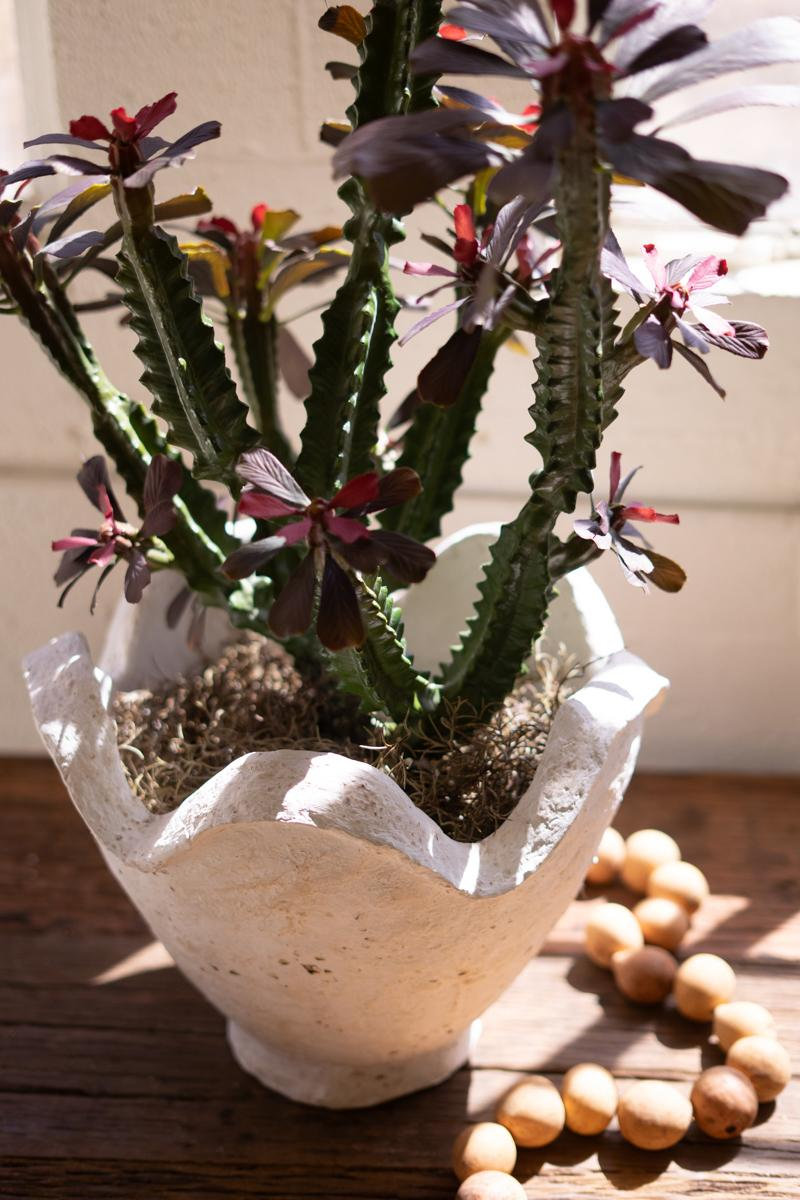  Oversized Neutral Paper Mache Bowl with Sculptural Edge - 16"L