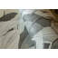 Priode A Tropical Forest Design 4-Panel Wall Mural 2.7m height x 280cm width-861244210